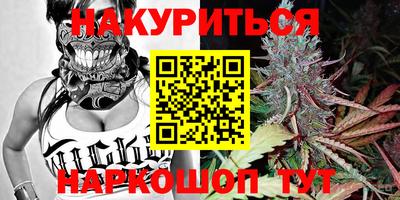 скорость Новозыбков