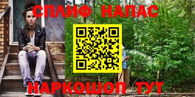 скорость Новозыбков