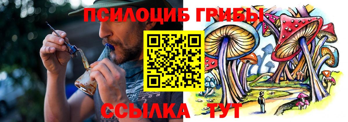 Советск  Галлюциногенные грибы GOLDEN TEACHER  Вход с VPN  Галлюциногенные грибы мухоморы 