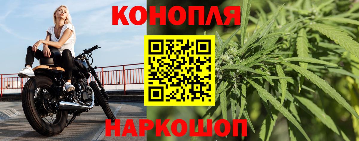 Каннабис планчик Советск